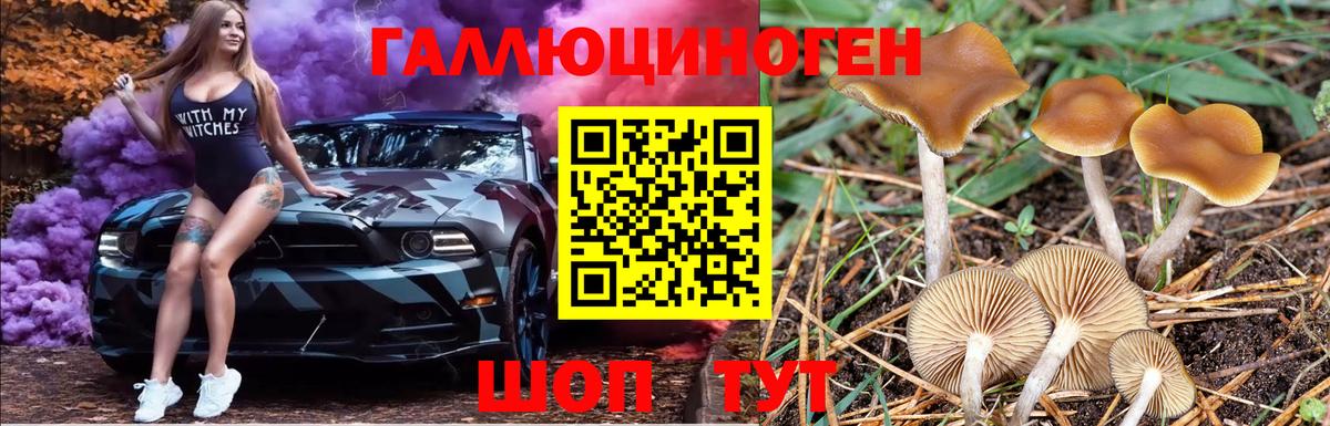 Псилоцибиновые грибы GOLDEN TEACHER  Галлюциногенные грибы мухоморы  Вход с VPN  Надым 