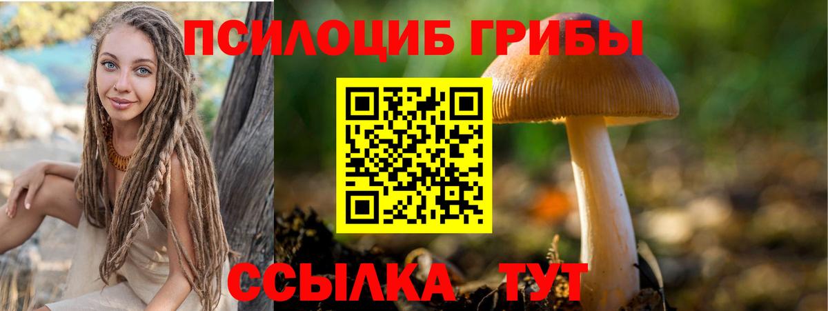 Псилоцибиновые грибы ЛСД Надым